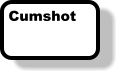 Cumshot