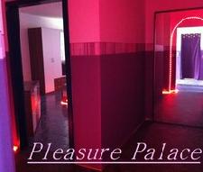Hobbyhure  Pleasure_Palace aus Plz 2  Affinghausen